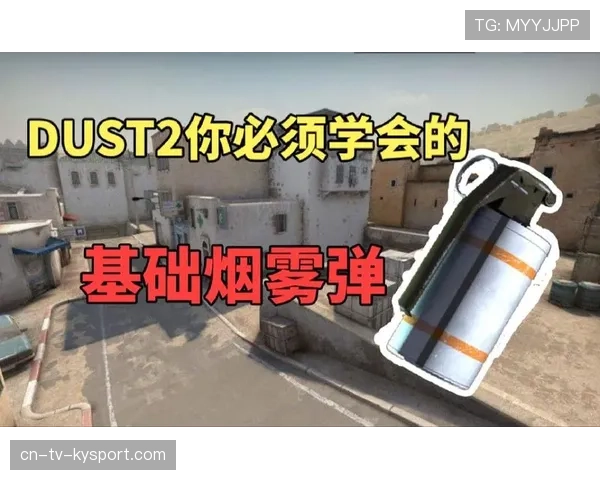 CSGO2职业赛烟雾弹艺术