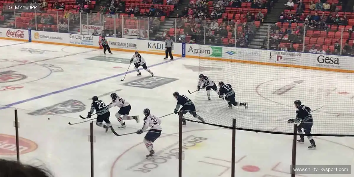 📱手机、平板、电脑无缝切换，精彩从不掉线！📡